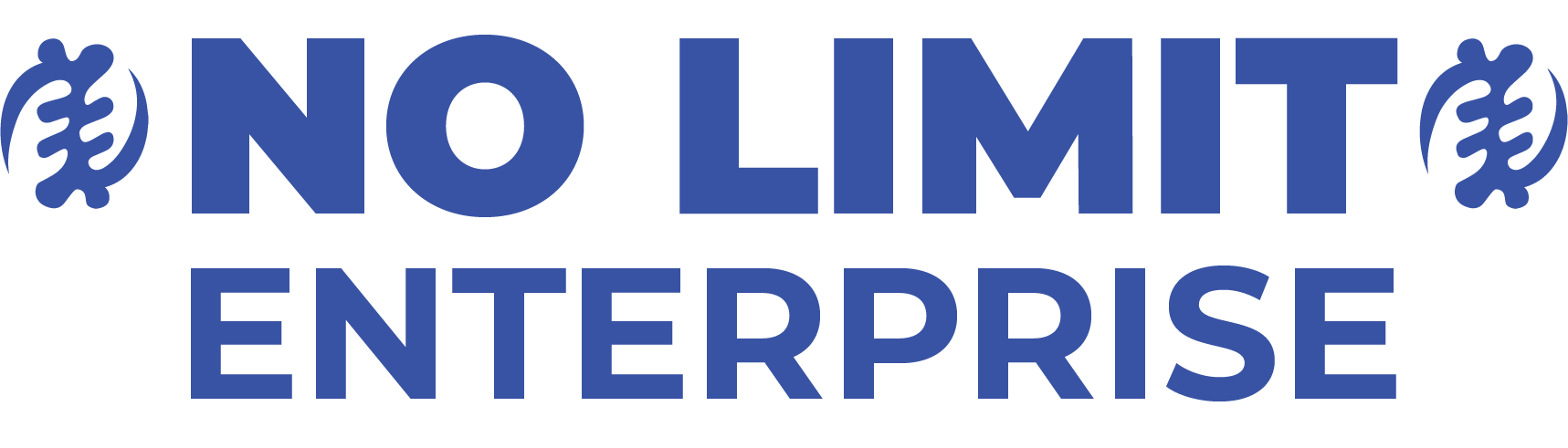 No Limit Enterprise